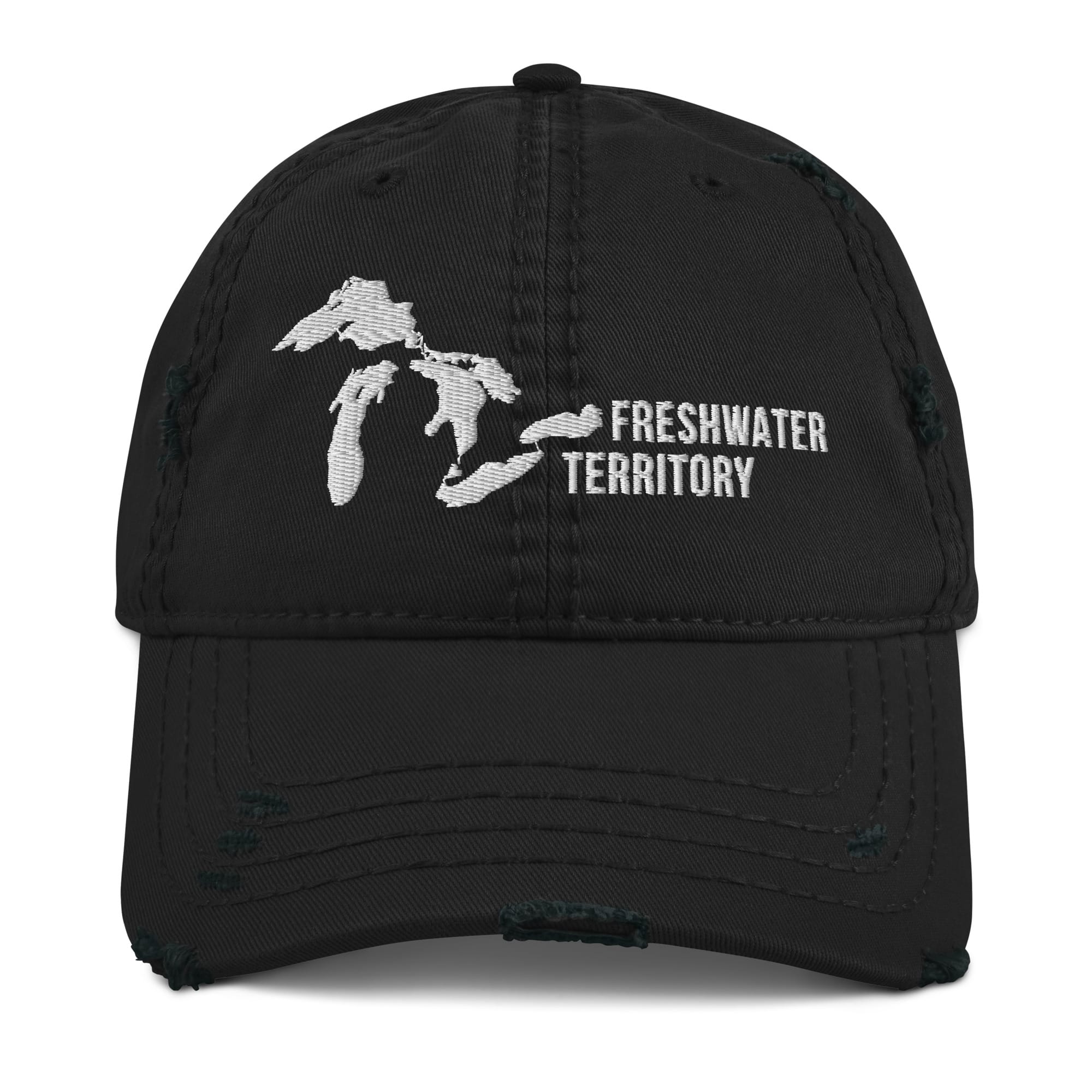 Freshwater Territory Great Lakes Distressed Dad Hat - Image 2